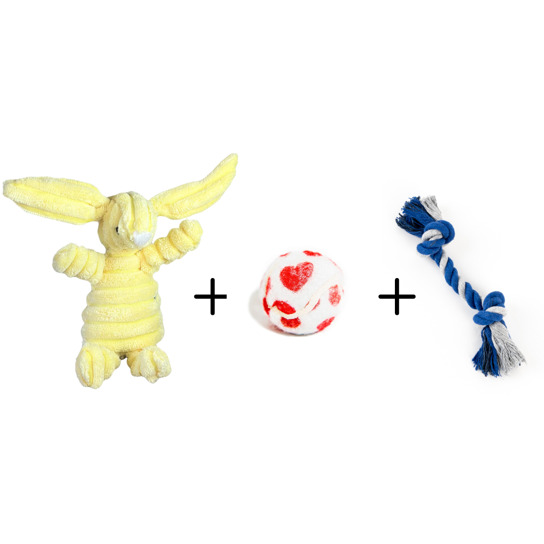 (mini) PLAY PACK 1