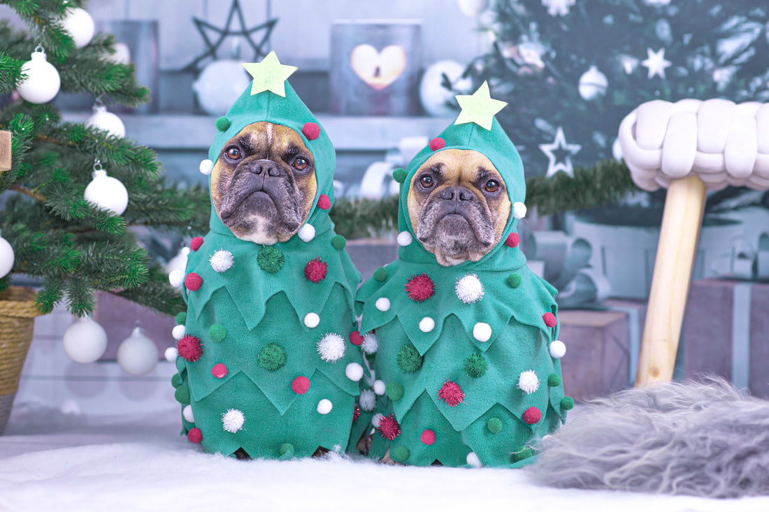 7 Ways To Make Your Christmas Tree Pet Friendly